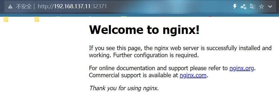 K8S创建Nginx对外服务插图1